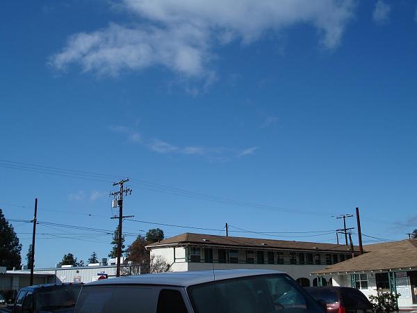 Hail Hail the Gangs all Here!-hail.jpg