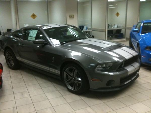 What Did You Learn Today?-sterling-silver-shelby-gt.jpg