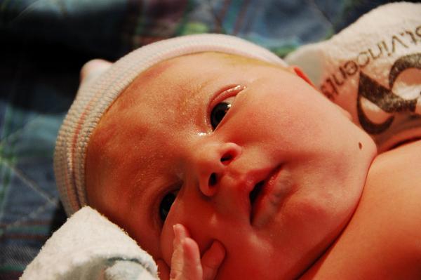 New Addition to the family-dsc_0959-1024x768-.jpg