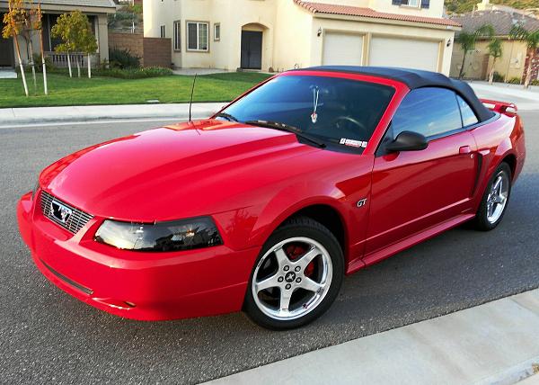 New to the mustang source-gtstang.001.jpg