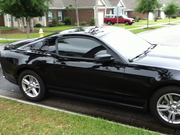 New kinda-image-2753634183.jpg