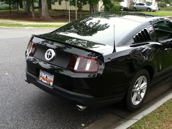 New kinda-image-3269267468.jpg