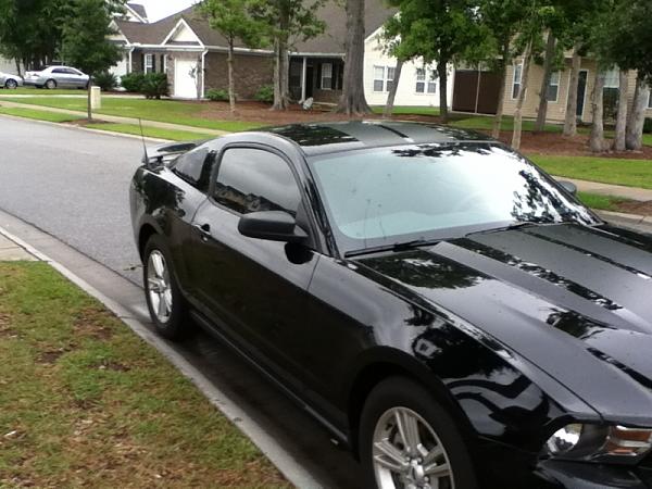 New kinda-image-1267934442.jpg