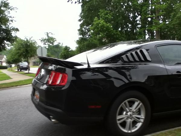 New kinda-image-3220533733.jpg