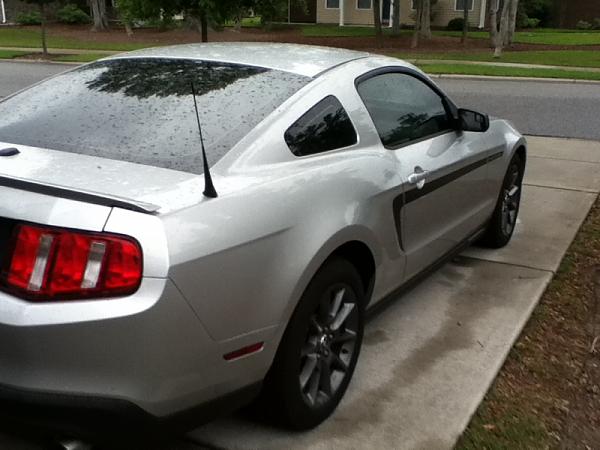 New kinda-image-3295995832.jpg