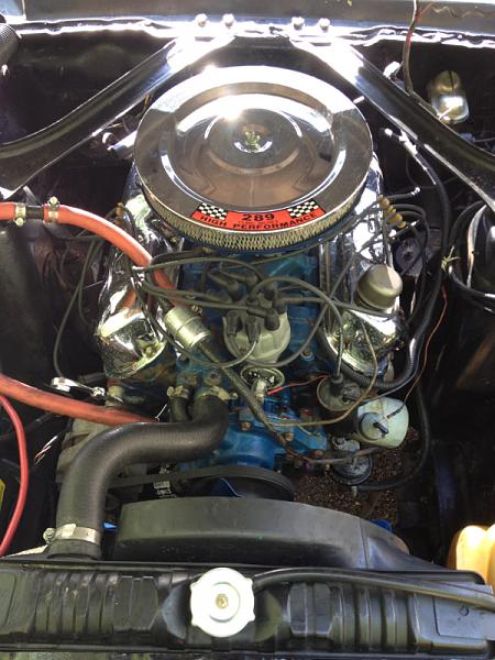 New member from the Atlanta area-image-3755344497.jpg