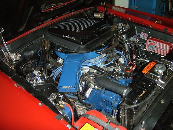 New member-suc40037.jpg