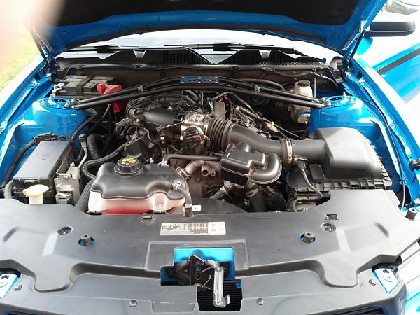 Greetings from Ontario-enginebay1.jpg