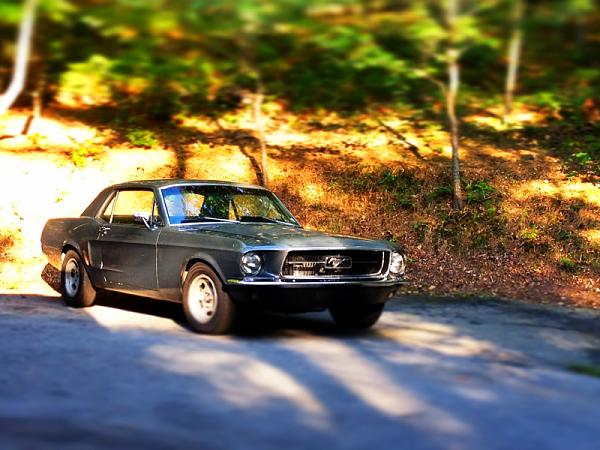 New member from the Atlanta area-image-736757390.jpg