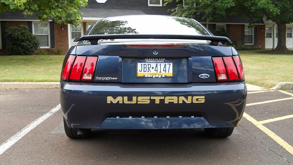 New to site-mustang-010.jpg