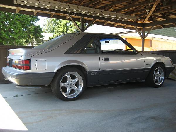 From Surrey BC, Canada-img_0418.jpg