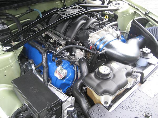 From Surrey BC, Canada-img_0283.jpg