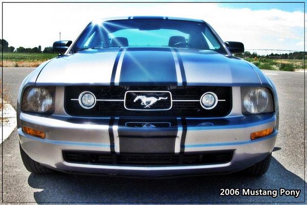 New Mustang Owner!-image-3919252320.jpg