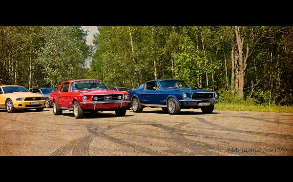 NEW HERE - Windveil blue v6 Mustang in Russia-_mg_2031.jpg