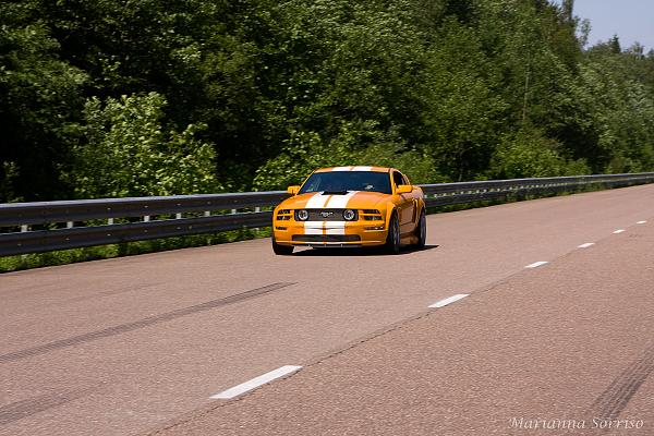 NEW HERE - Windveil blue v6 Mustang in Russia-_mg_1881.jpg