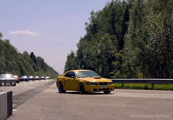 NEW HERE - Windveil blue v6 Mustang in Russia-_mg_1728.jpg
