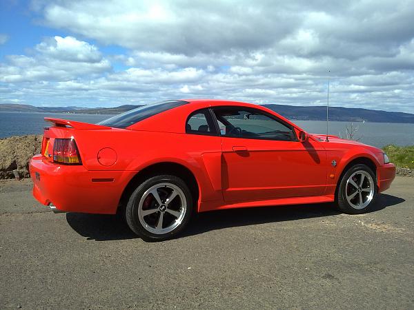 I have just bought my first Mustang-15042012483.jpg