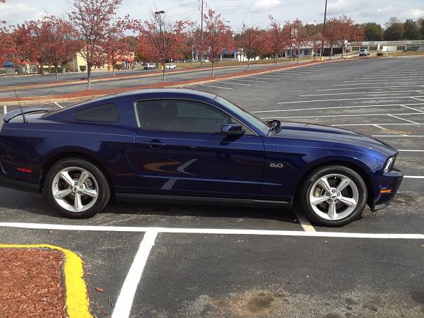 New Mustang, Old Member-image.jpg