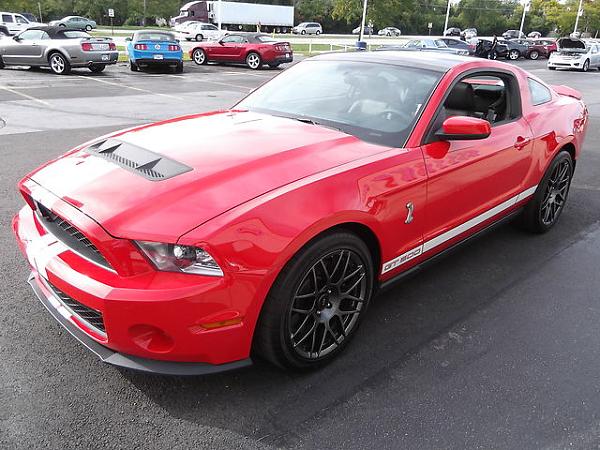 Re-introduction for Tight Lines-image-2424184156.jpg