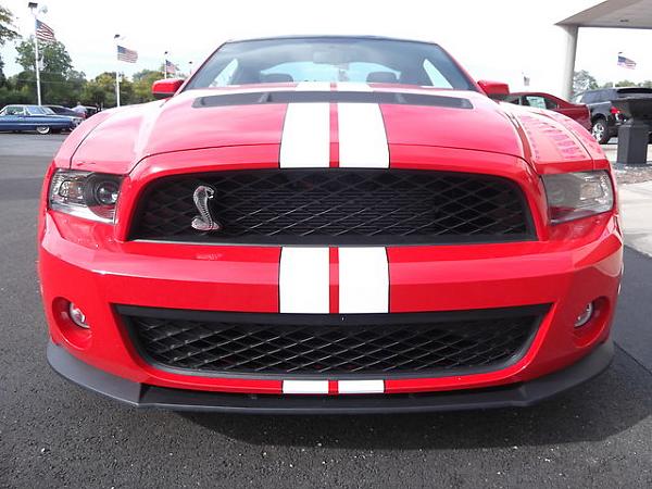 Re-introduction for Tight Lines-image-3345830124.jpg