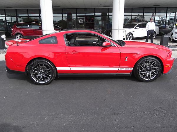 Re-introduction for Tight Lines-image-2969351136.jpg