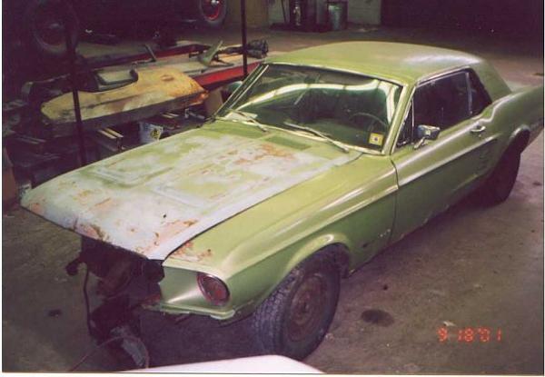 new guy from NJ.-stangdayone2.jpg