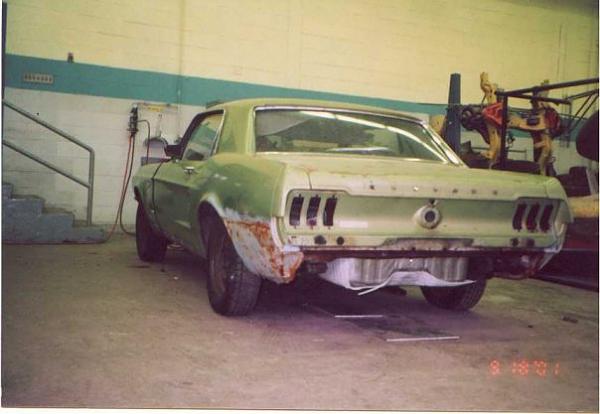 new guy from NJ.-stangdayone.jpg