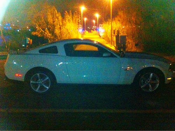 New to forum-image-93042043.jpg