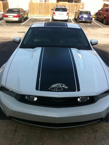 New to forum-image-608048100.jpg