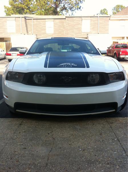 New to forum-image-2625914760.jpg