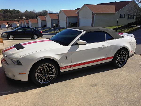 Newbie from Knoxville Tennessee-img_2129.jpg