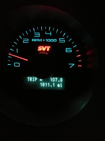 Newbie from Knoxville Tennessee-img_2125.jpg