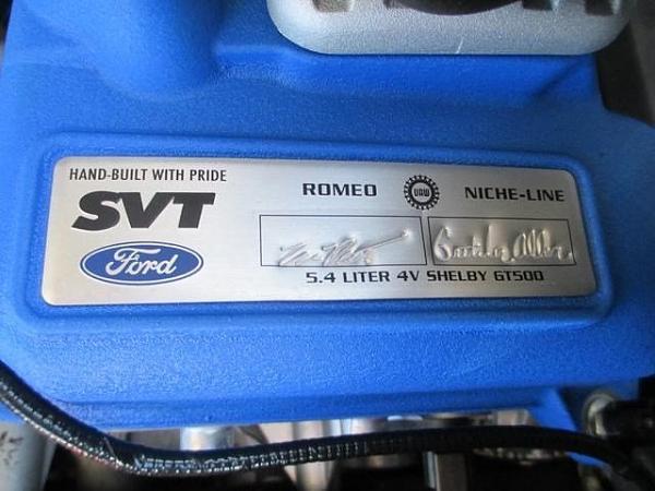 Newbie from Knoxville Tennessee-img_2140.jpg