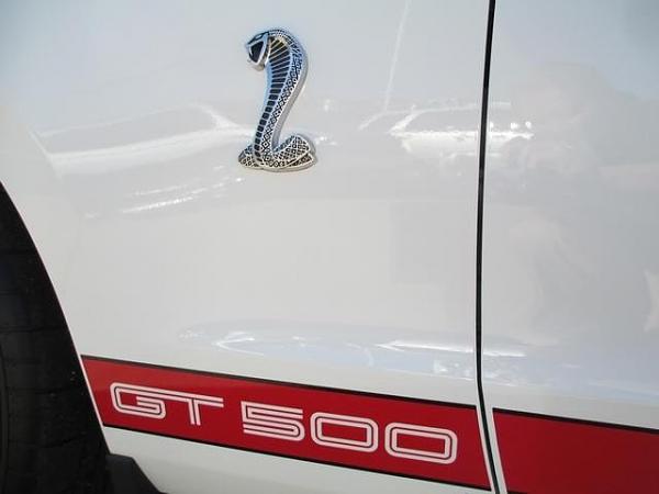 Newbie from Knoxville Tennessee-img_2160.jpg