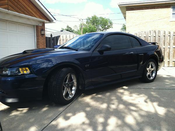 Newb from illinois!!!-image-2687016675.jpg