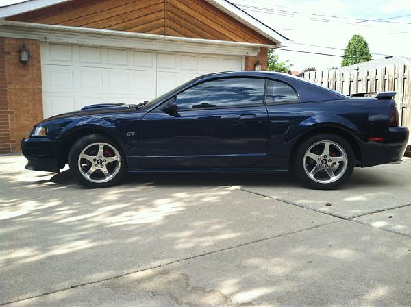 Newb from illinois!!!-image-3865687579.jpg