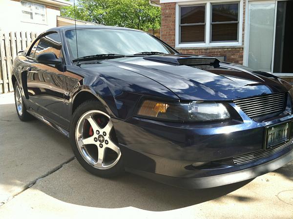 Newb from illinois!!!-image-1770524735.jpg