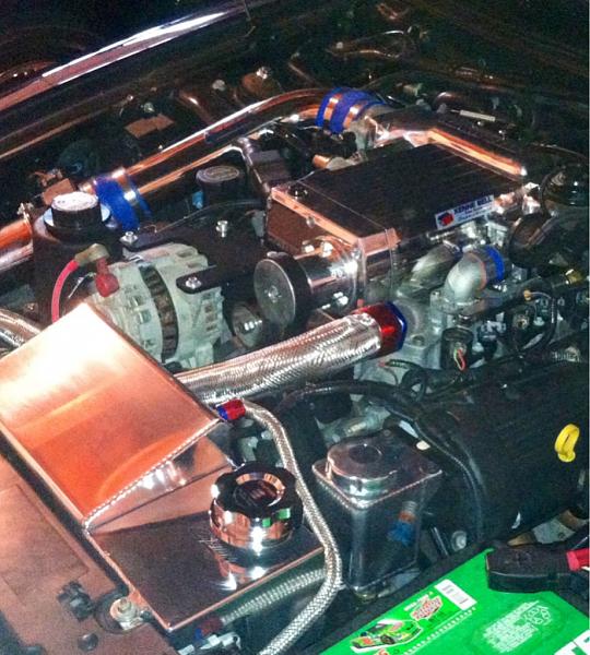 Newb from illinois!!!-image-4134350880.jpg