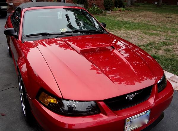 Mustang Sally  :)-red-mustang-1.jpg