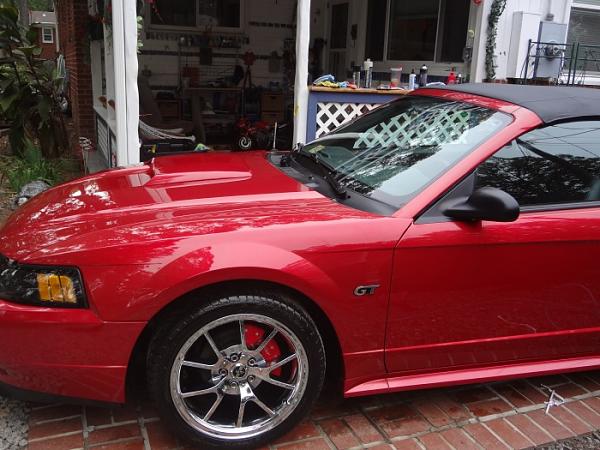 Mustang Sally  :)-mustang-3.jpg