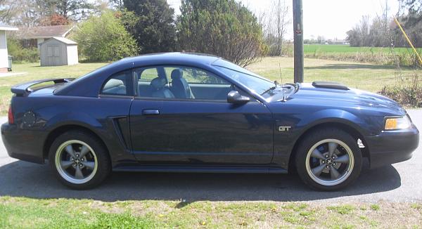 Newbie-01-ford-mustang-gt-1-007.jpg