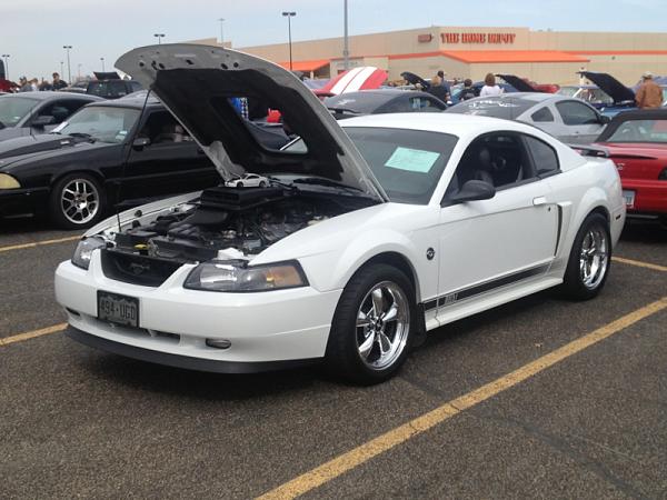 New member from Texas-image-1226155320.jpg