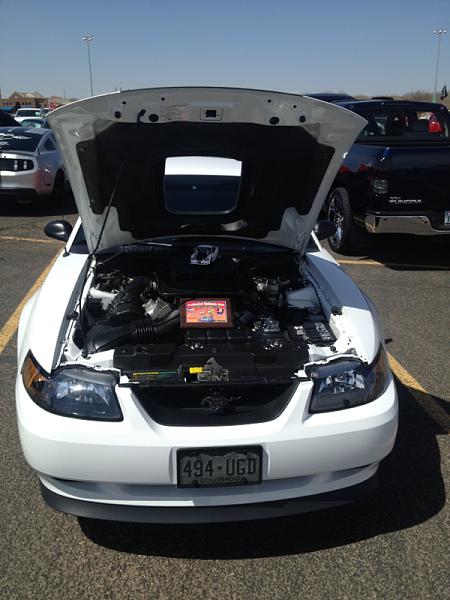 New member from Texas-image-3999298125.jpg