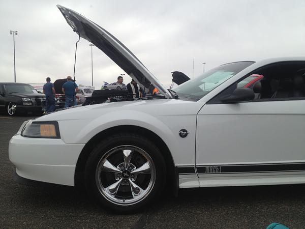 New member from Texas-image-1282198556.jpg