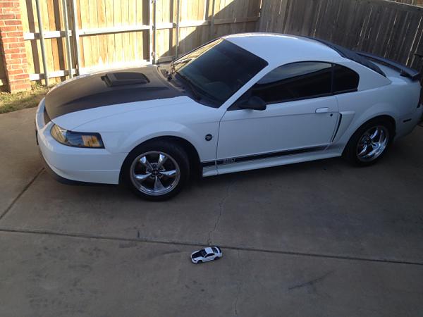 New member from Texas-image-2393169796.jpg