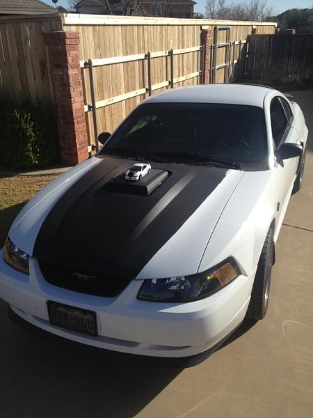 New member from Texas-image-578621265.jpg