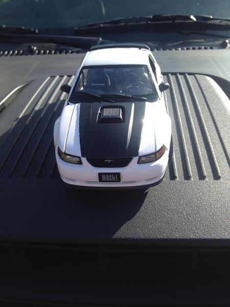 New member from Texas-image-2890370818.jpg