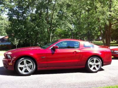 Name:  Mustang5__1370489844_72.192.212.59.jpg
Views: 138
Size:  26.4 KB