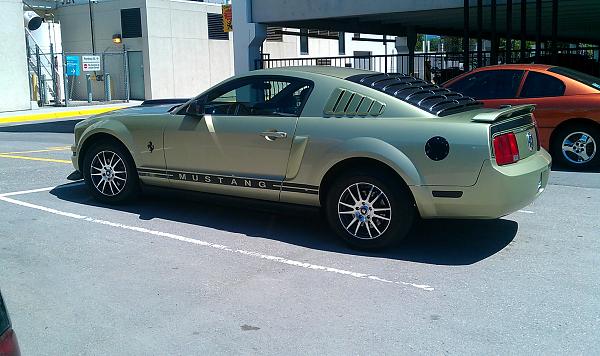 New Limer from Canada.-stang3.jpg