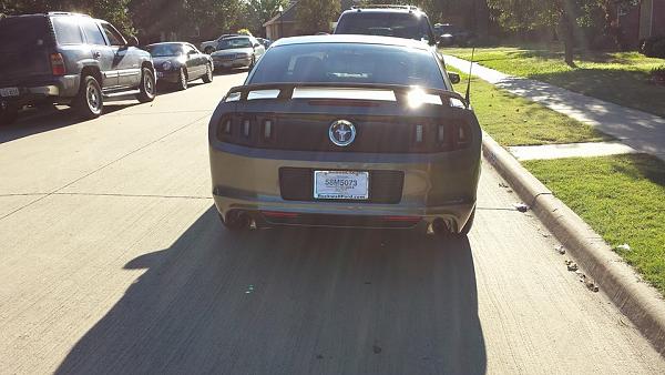 New to the Forums, New to Mustang!-1452137_10153418515875302_1349290970_n.jpg
